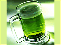 Green Drinks Toronto