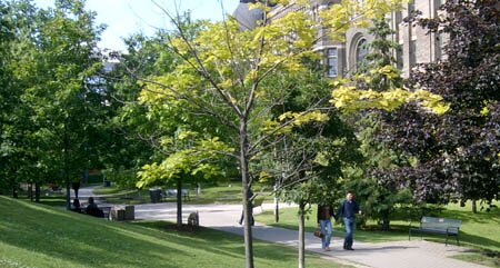 philosopher’s walk